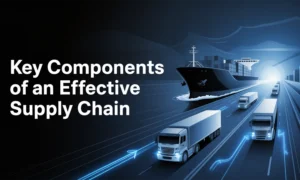 Components of an Effective Supply Chain